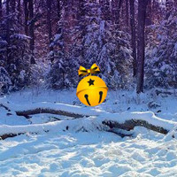 Free online html5 games - Escape from Snow Christmas Forest game - Games2rule 