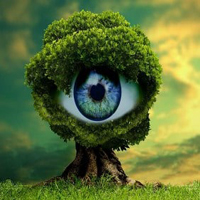 Free online html5 games - Aesthetic Fantasy Forest Escape HTML5 game 