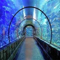 Free online html5 games - Escape From Sea Aquarium game 