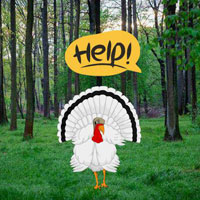 Free online html5 games - Wow Queen Turkey Seeks Crown game 