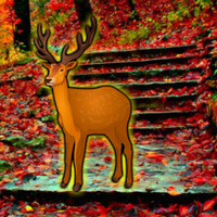 Free online html5 games - WowEscape Save The Deer game - Games2rule 