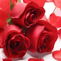 Free online html5 games - Valentines Rose Bouquet Day HTML5 game - Games2rule 