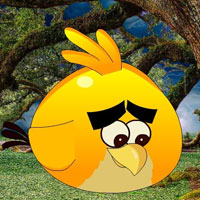 Free online html5 games - Agony Bird Escape HTML5 game - Games2rule 