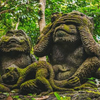 Free online html5 escape games - Monkey Statue Forest Escape HTML5