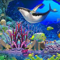 Free online html5 games - Underwater Hidden Shell game 