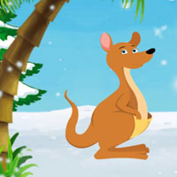 G2J Baby Red Kangaroo Rescue