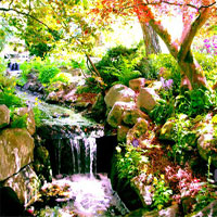 Free online html5 games - Spring Forest Escape game 