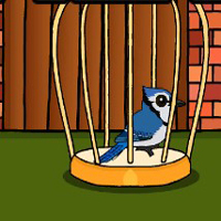Free online html5 games - G2J Rescue The Blue Jay game - Games2rule 