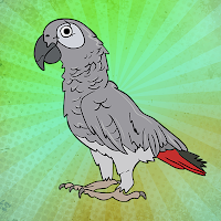 Free online html5 escape games - G2J African Grey Parrot Escape