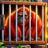 Free online html5 escape games - Escape of the Caged Red Orangutan