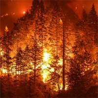 Free online html5 games - Hog Hidden Fire game - Games2rule 