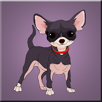 Free online html5 games - G2J Chihuahua Dog Rescue game 