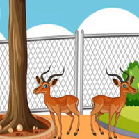 Free online html5 escape games - Trapped in Green Garden Escape