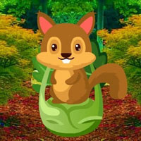 Free online html5 games - Horticulture Squirrel Escape HTML5 game 