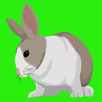Free online html5 games - Chick Easter Escape game 