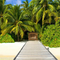 Free online html5 games - Wow Tropical Paradise Escape game 
