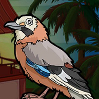 Free online html5 games - Games2Jolly The Jay Bird Escape game 