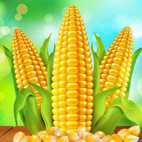 Giant Corn Land Escape HTML5