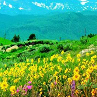 Free online html5 games - Flower Peak Valley Escape game 