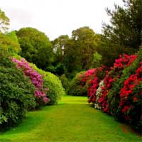 Free online html5 games - Escape From the Flower Garden game - Games2rule 
