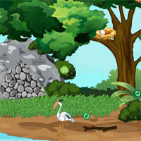 Free online html5 games - Deep Jungle Rescue Kitty game 