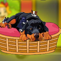 Free online html5 escape games - Rescue The Rottweiler Puppy