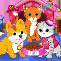 Free online html5 games - Cats and Dogs Grooming Salon game 