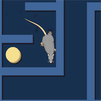 Free online html5 games - Lab Rat Quest For Cheese game 