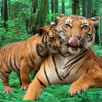 Free online html5 games - Big Hunting Land Escape game 