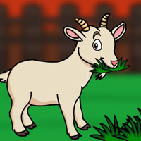 G2J Help the Hungry Goat