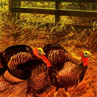 Free online html5 games - Thanksgiving Farm Hidden Corn game 