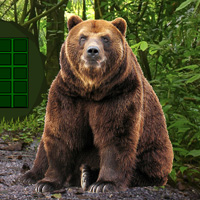 Free online html5 games - Big Bear Land Escape game - Games2rule 