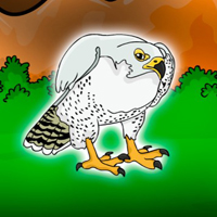 Free online html5 escape games - Release the Falco Rusticolus