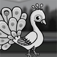 Free online html5 escape games - White Peacock from Locked Cage