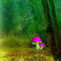Free online html5 games - Magical Queen Forest Escape game - Games2rule 