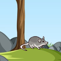 Free online html5 escape games - G2M The Great Mouse Escape