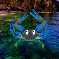 Free online html5 games - Crab Island Escape HTML5 game - Games2rule 