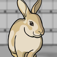 Free online html5 games - G2J Release the Rabbit from Cage game - Games2rule 