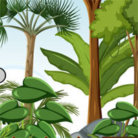 Free online html5 escape games - Cozy Bear Rescue