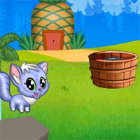 Free online html5 games - Naughty Cat Adventure game - Games2rule 