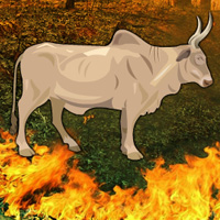 Free online html5 games - Fire Forest Bull Escape game 