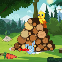 Free online html5 escape games - Wow Preserve The Trapped Bunny