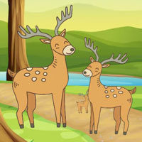 Free online html5 escape games - G2M Little Bear Escape