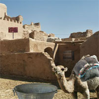 Free online html5 games - 5n Can You Escape Desert House 2  game - Games2rule 