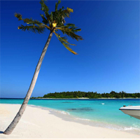 Free online html5 games - MouseCity Beautiful Beach Escape game 
