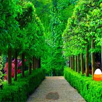 Free online html5 games - Green Garden Escape MirchiGames game - Games2rule 