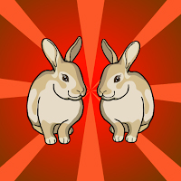 Release The Rabbit Family