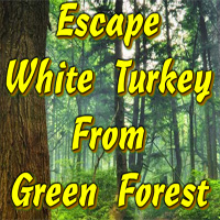 Free online html5 games - Escape White Turkey From Green Forest game 