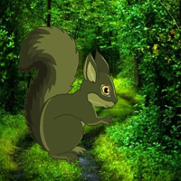 Free online html5 games - Help The Trouble Squirrel HTML5 game 