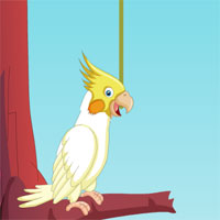 Free online html5 games - Naughty Pig Escape II game 
